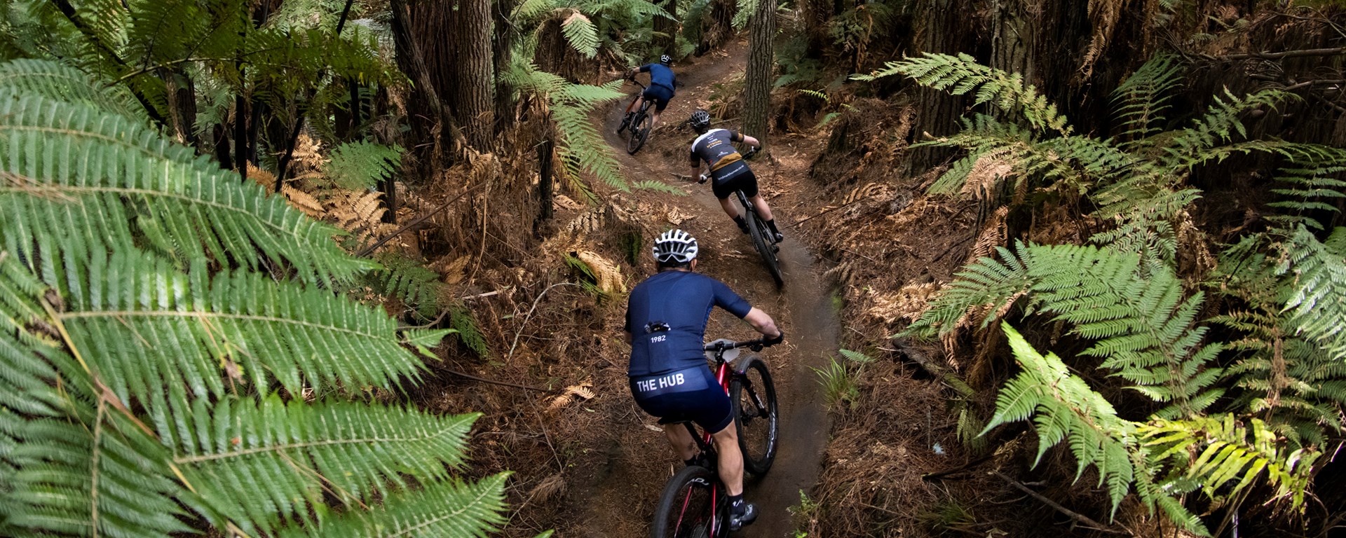 tour of new zealand bike race