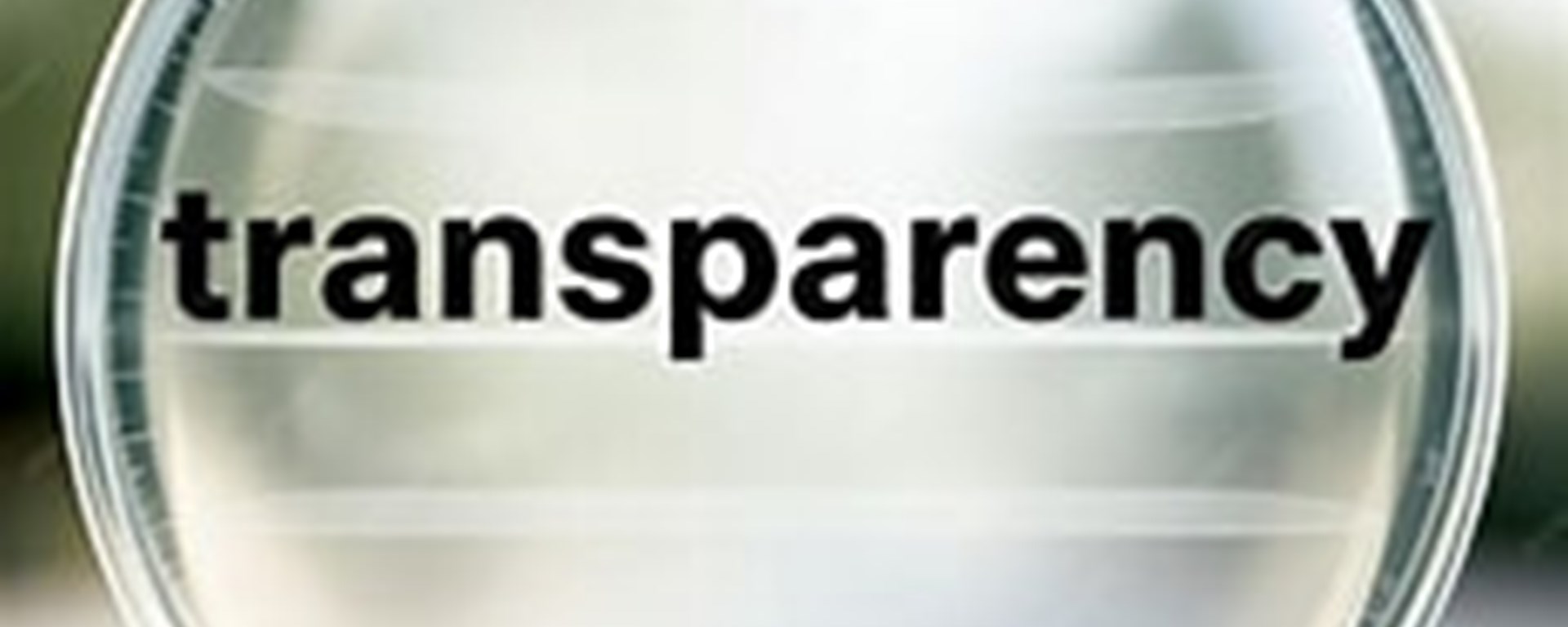 Transparent Image Reputation When allegations are ignored, reputations become casualties